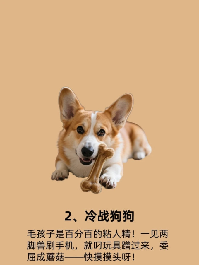狗狗