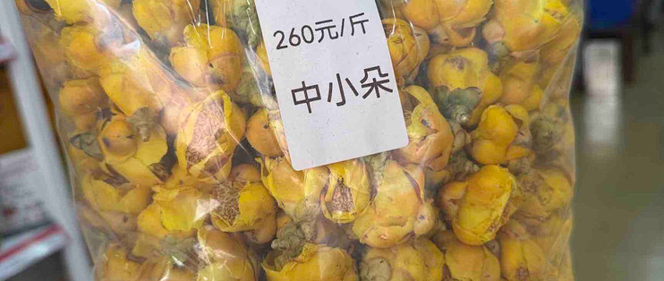 广西防城港金花茶的生态特征