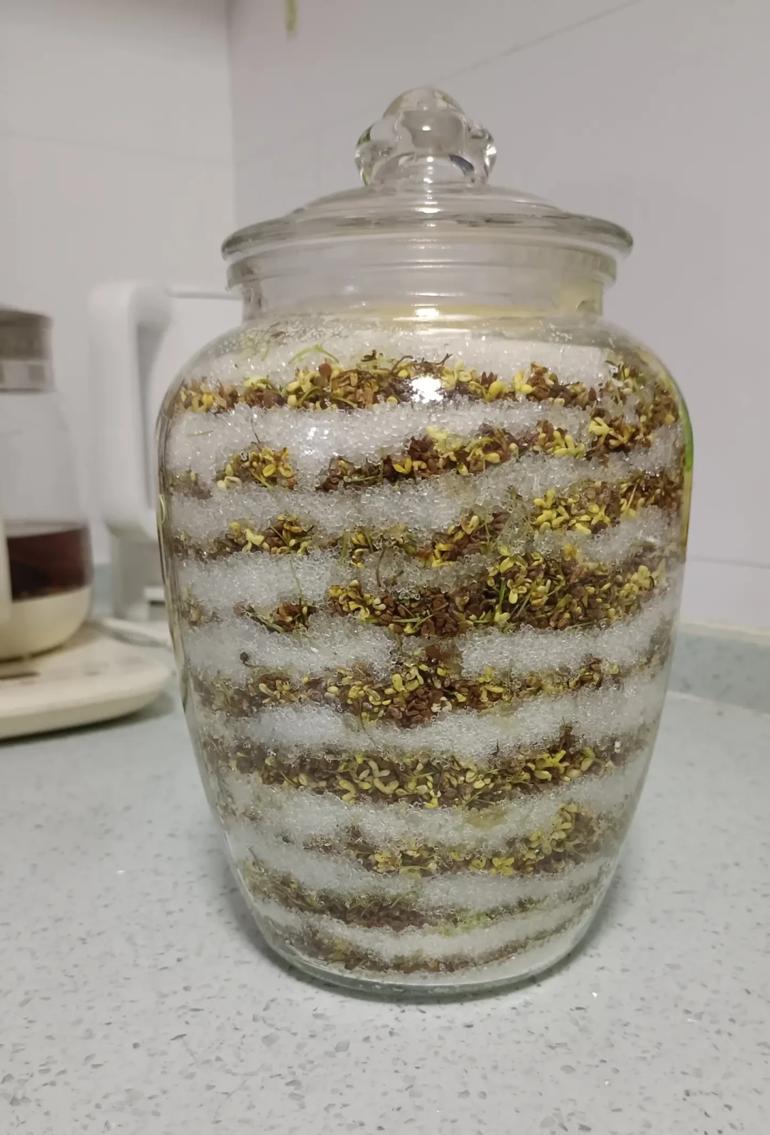 桂花季只剩十来天，先翻翻那篇2.3万收藏桂花蜜教程的评论区：盐腌会黑、挑梗要一天、12块钱就能买