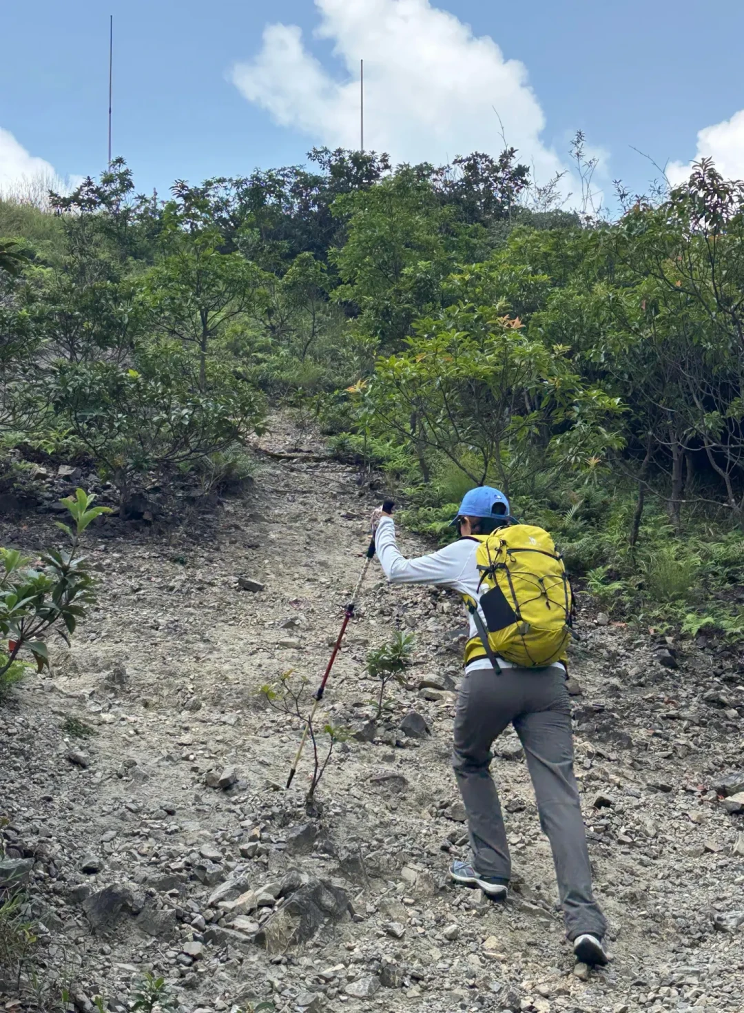 国庆爬完山下楼膝盖发酸:先别急着下单登山杖,社区里这4场争吵,每场都指向一个错误订单