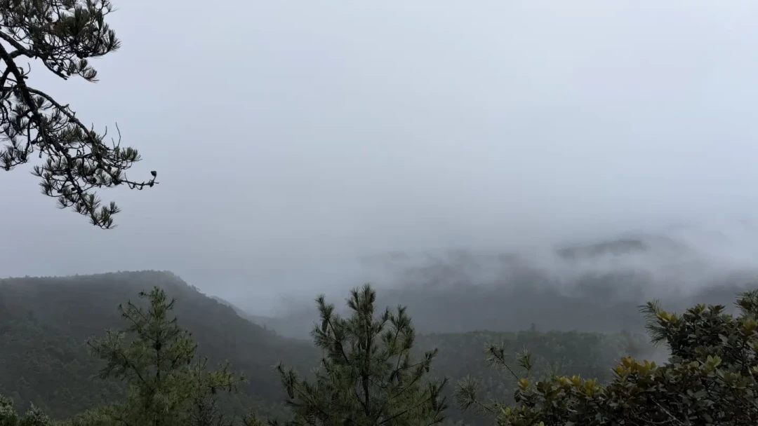 全国都晴了,就丽江还在下:国庆最后72小时,退玉龙雪山的票不是唯一答案