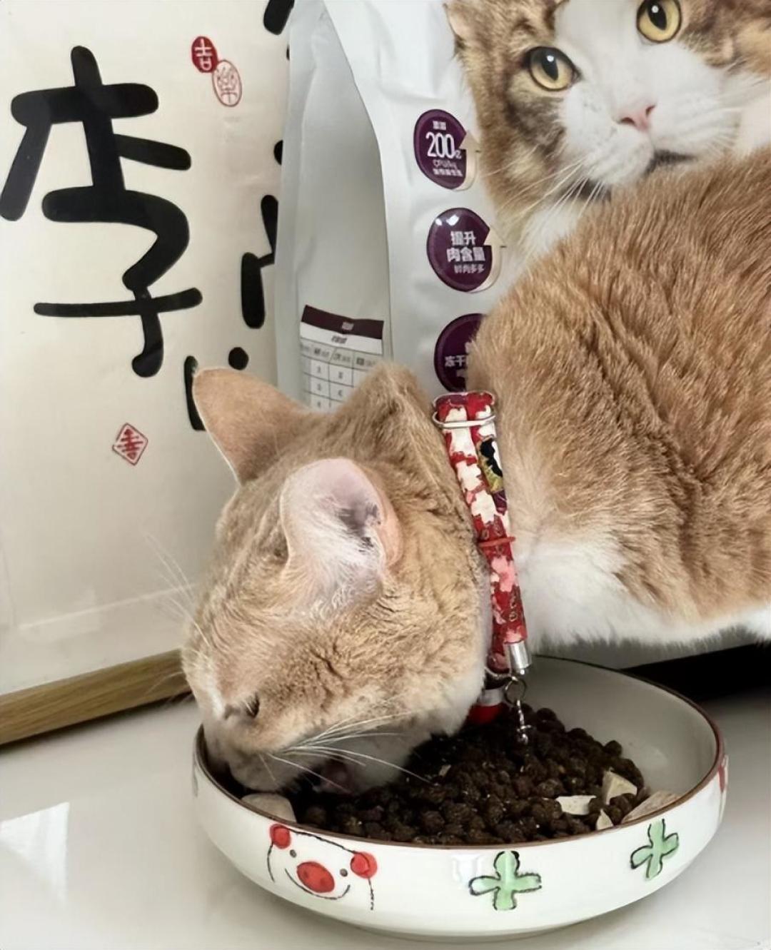 离双11猫粮预售还有10天:翻完近两年囤货翻车帖——亏钱的就3件事,现在能做的4个动作