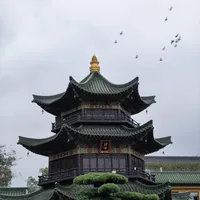 同一个东林寺，"免费住三天"和"白跑一趟"都是真的：想住进寺庙，先别对着攻略猜床位