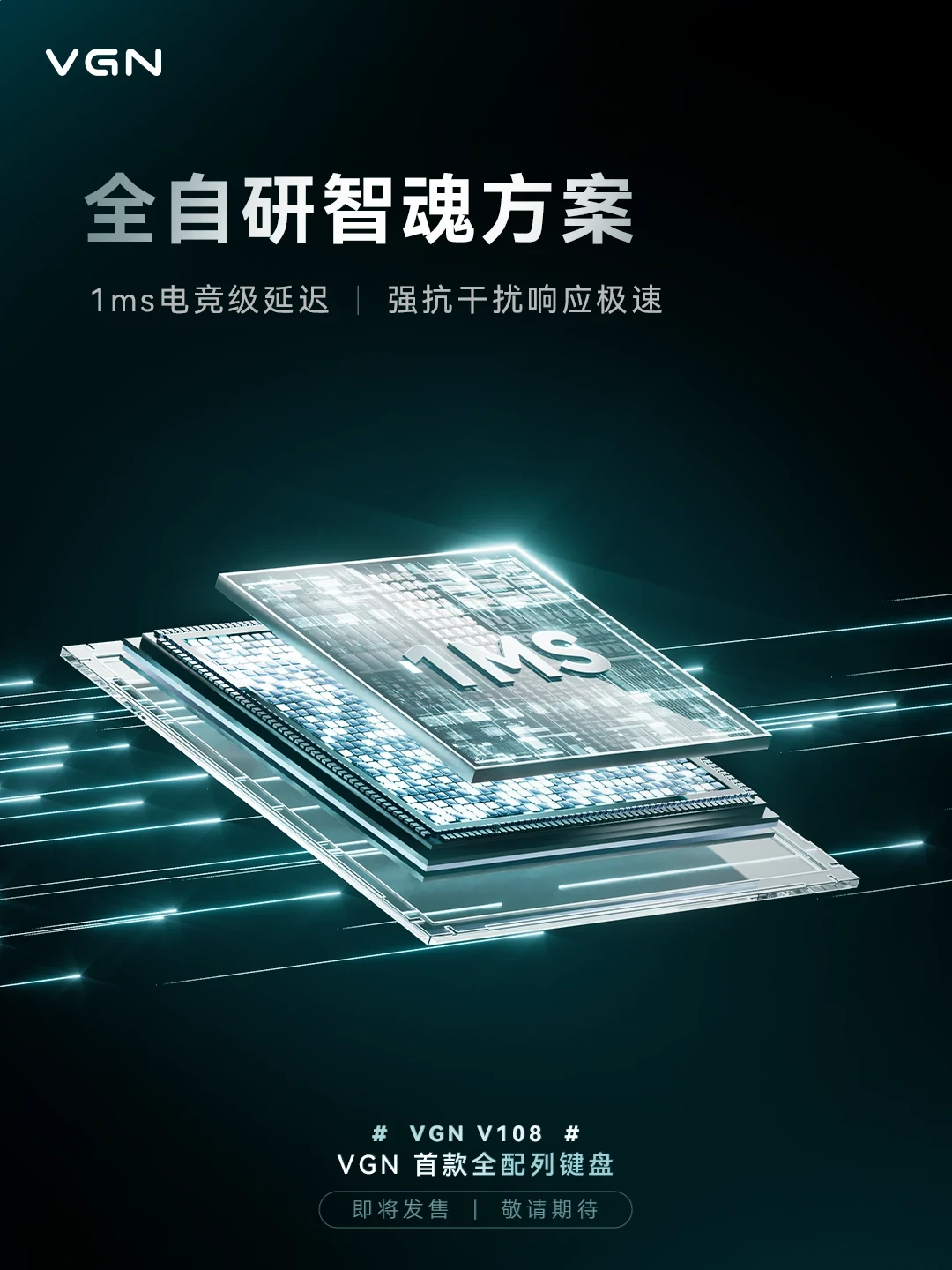 VGN 官方自研