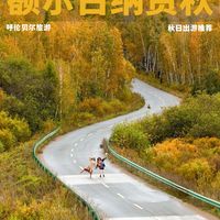 一篇看懂额尔古纳的秋:5种地貌,N种颜色🎨