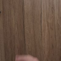 有线降噪回归、AI耳夹新合作 | BOSE10.6日报