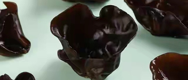 木耳胶质吸附肠道杂质
