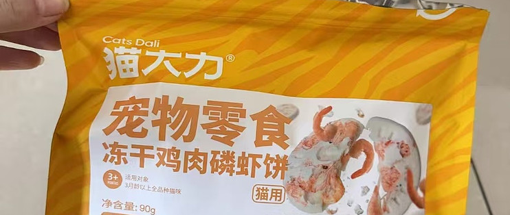 谁懂啊！猫咪的圆润爆毛密码被我找到了🐱💫