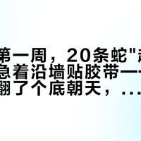 十月的第一周，20条蛇"越狱"帖：先别急着沿墙贴胶带——我把评论区翻了个底朝天，降温后找蛇的优先级清单变了