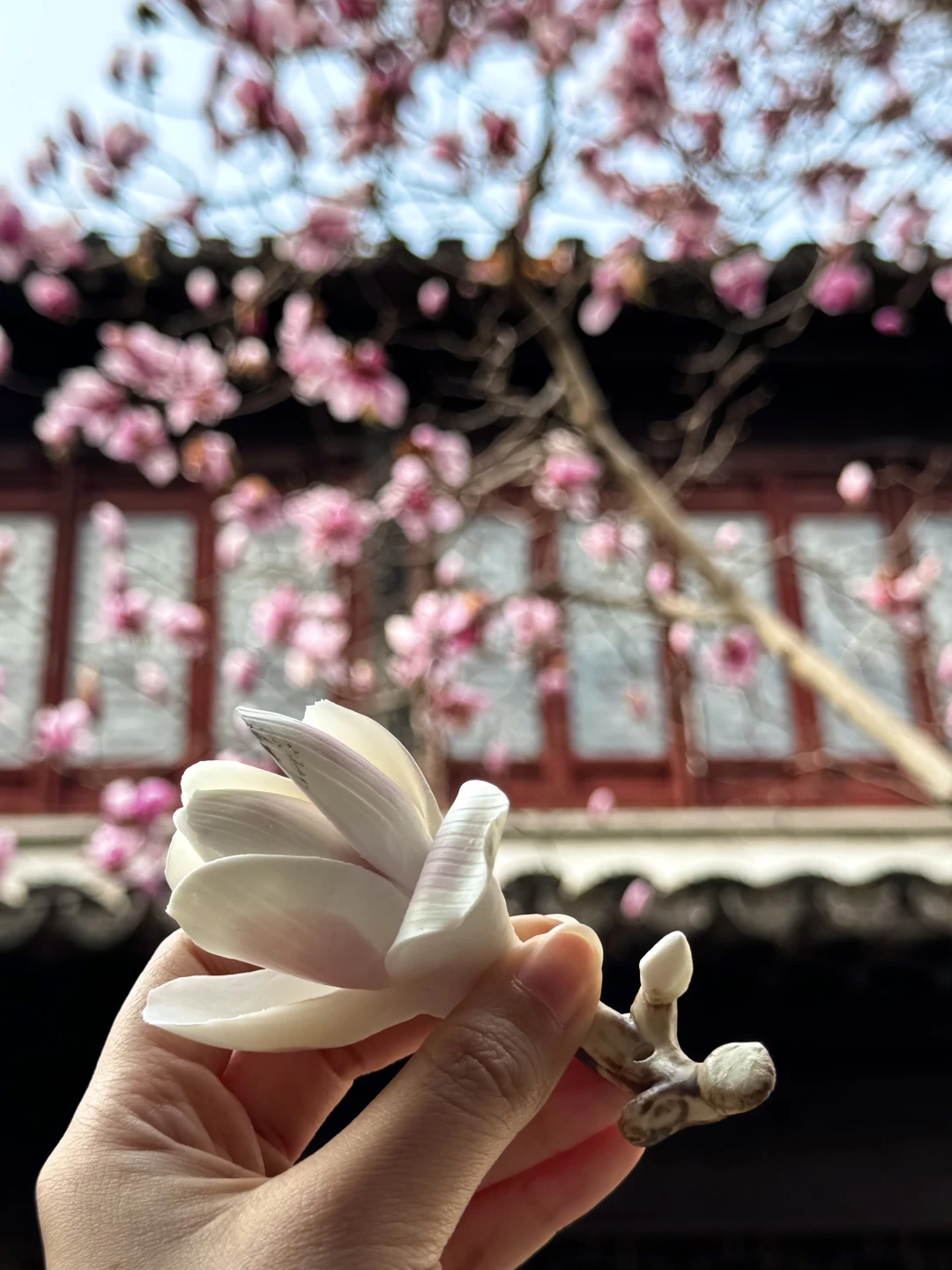 国庆8天假第7天，