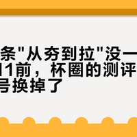 一周17条"从夯到拉"没一条是官方：双11前，杯圈的测评入口被抄格式号换掉了