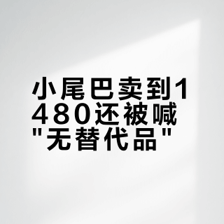 小尾巴卖到1480还被喊"无替代品"？翻遍乂度Link3的全网评测，差价买的真不是音质