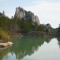 绿雪芽把“年份”立成了标准，但你在网上看到的“1998年茶饼”和“99元十年”，物理上都不成立