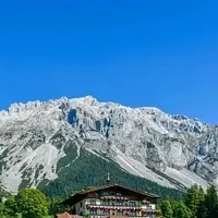 源头分解除甲醛原理解析：五款主流产品催化分解能力深度对比