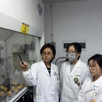 诺奖≠神药：一款新药从实验室到上市到底还要等多久