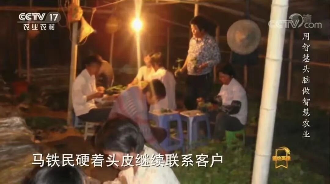 从卖房到年入10亿,亚洲“生菜大王”:我读书,是为了做好一个农民
