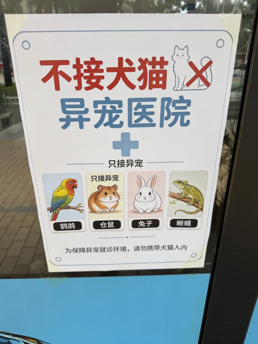 「CT 2000 查出个治不了」撞上「39 块的小鼠首诊 390」:国庆接宠潮后的第一波病号潮,去宠物医院之前,先把看不看、去哪看、带多少钱、问什么这四笔账算清