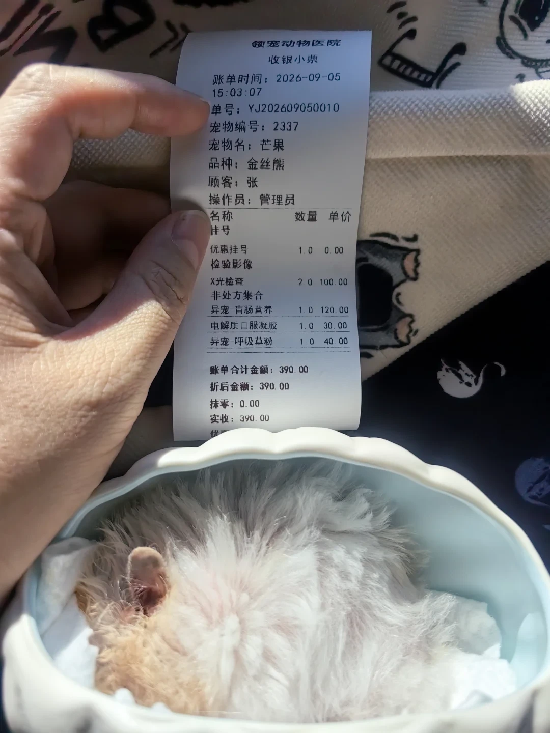 「CT 2000 查出个治不了」撞上「39 块的小鼠首诊 390」:国庆接宠潮后的第一波病号潮,去宠物医院之前,先把看不看、去哪看、带多少钱、问什么这四笔账算清