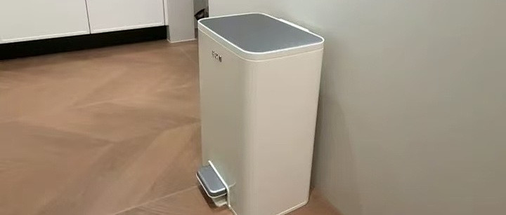 轻奢高颜值不锈钢垃圾桶客厅法式分享