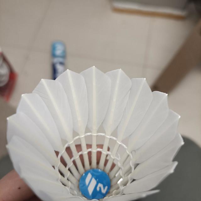百保力把亚巡赛打到北京站：网球品牌的羽毛球球、鞋、拍，实测与吵点拼成一张双11对号入座表