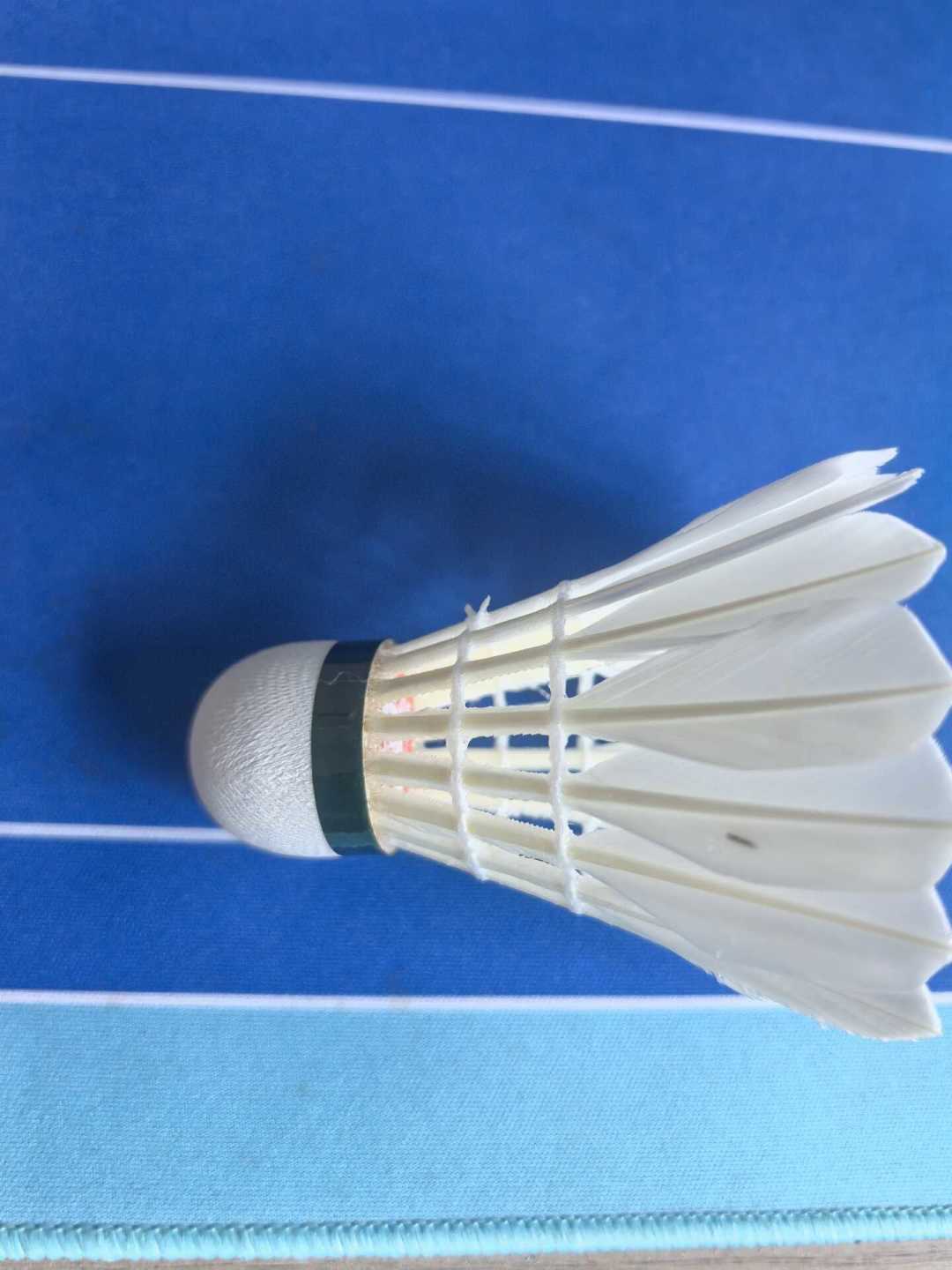 亚66也拼团开抢了:亚狮龙