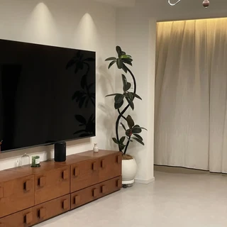 降温后一周，盆栽开始集体"一碰就掉叶"：翻完301评论的发财树问诊楼、24评论的黄金榕报丧帖和19评论的彩叶芋"停长"帖，我把掉叶三条线、两条红线和供暖前搬家公式理清了
