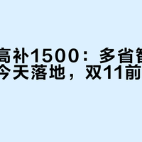 每件最高补1500：多省智能家居补贴今天落地，双11前先对四张单子