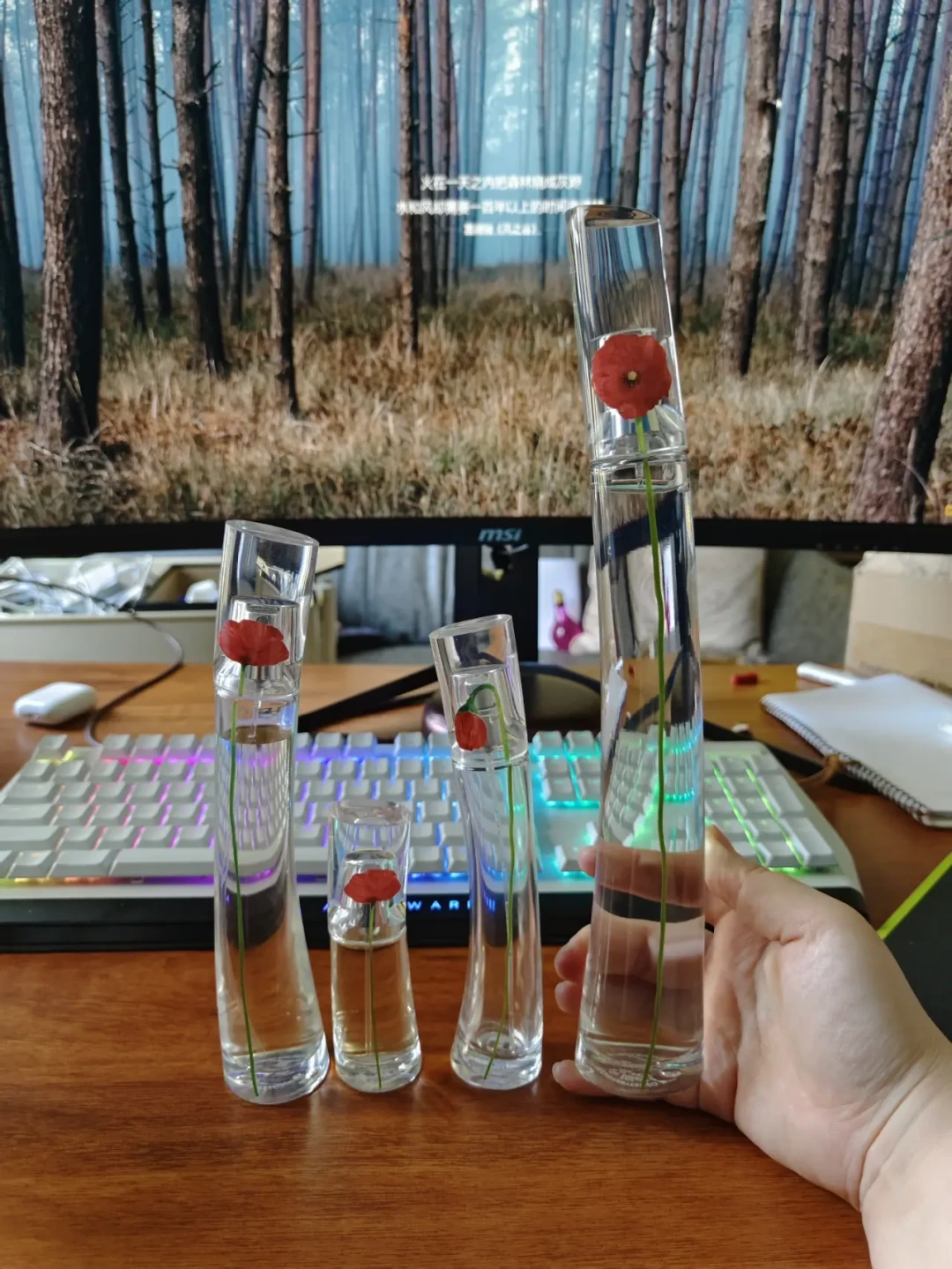 双11预售开闸前一周,1279赞