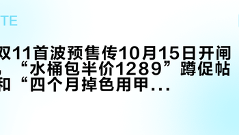 双11首波预售传10月15日开闸，“水桶包半价1289”蹲促帖和“四个月掉色用甲油胶补救”避坑帖同屏：把通勤包预算交给“百搭”前，先把价梯、背次、肩带这三本账对完