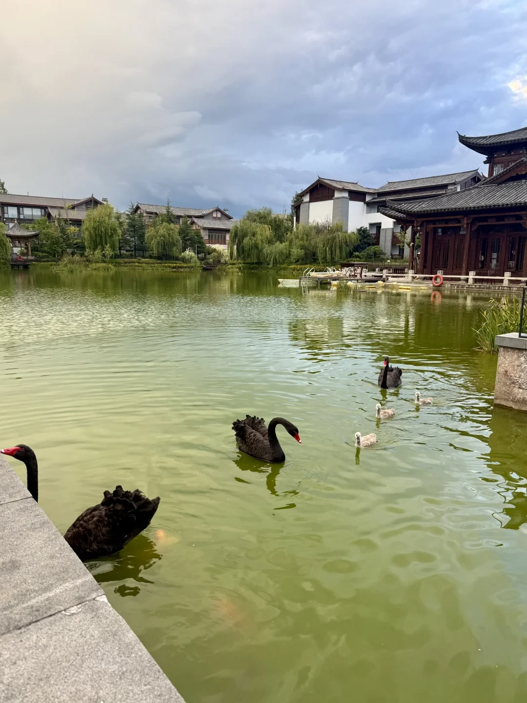 飞猪双11六天后开闸：去年实价、今年货表剧透和全网“约不上”的避雷帖我都对了一遍——囤酒店套餐最怕的不是买贵，是约不到你想住的那天