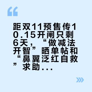 距双11预售传10.15开闸只剩6天，“做减法开智”晒单帖和“鼻翼泛红自救”求助帖同屏：把换季护肤预算交给精简之前，先把模板、停手、单价这三本账对完