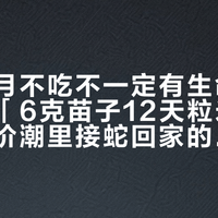 「一个月不吃不一定有生命危险」撞上「6克苗子12天粒米不进」：降价潮里接蛇回家的新手，动手填食、下单「开口神器」之前，先把价、温、激、重、话、医这六笔账算清