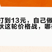 糖水被打到13元，自己做只要2元：入秋这轮价格战，哪碗值得你动手