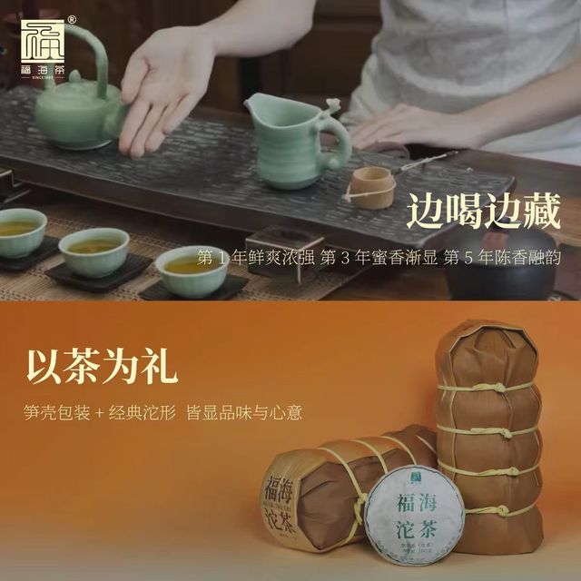 福海2026标杆生沱，勐海普洱生茶上新🥳