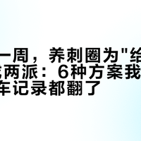 降温第一周，养刺圈为"给刺猬加热"吵成两派：6种方案我把使用者的翻车记录都翻了
