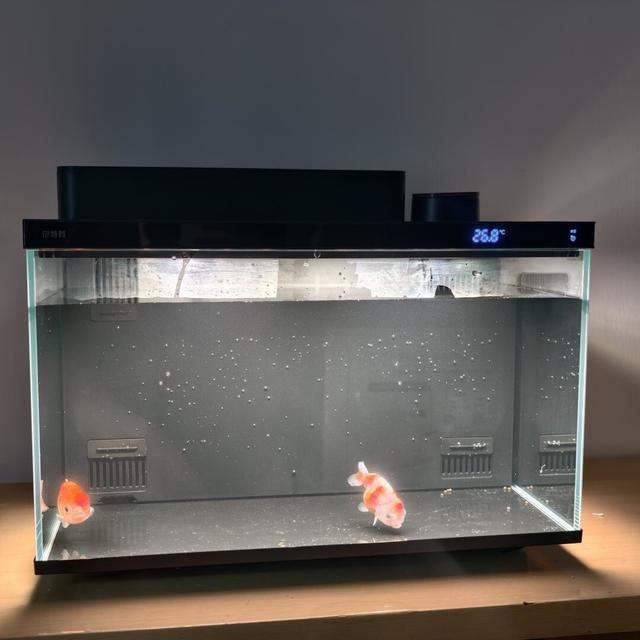 尼特利X45鱼缸双十一前的三笔账：「养鱼养草养珊瑚」一百天对账，25cm缸高和699→510的价格曲线，哪笔轮到你交学费