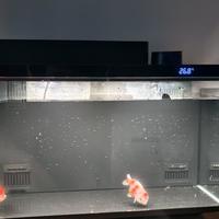 尼特利X45鱼缸双十一前的三笔账：「养鱼养草养珊瑚」一百天对账，25cm缸高和699→510的价格曲线，哪笔轮到你交学费