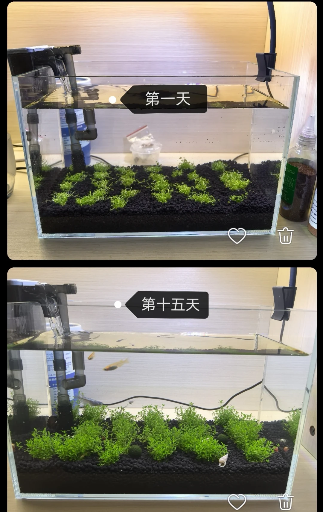尼特利AT5S的
