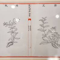 《典籍》焕新季开播就端出草船借箭，全网在审罗贯中的移花接木账：我把10个名场面和史传原文一次对完