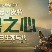 《野兽之心》：一部关于陪伴的电影，却让人感到孤独