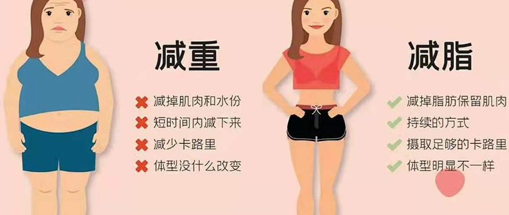 深秋减脂也能吃饱！一周低脂高饱腹家常菜谱清单，照着做绝不翻车