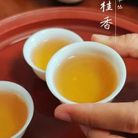 好物分享|珍稀名丛凤凰单丛肉桂香,别和岩茶肉桂混淆