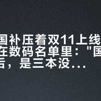 第四批国补压着双11上线，小蝌蚪却不在数码名单里："国补价119"背后，是三本没人摊开的账