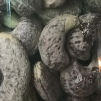 吃过最大的腰果！A170紫衣大果真的太满足