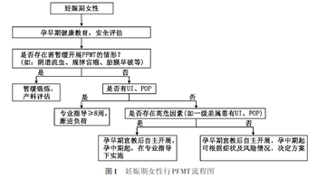 练了3周没感觉：憋尿法和提肛法，是全网教程里两种不同的错法——凯格尔先把三层肌肉分清再收