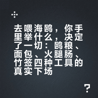 去喂海鸥，你手里举什么，决定了一切：鸥粮、面包、火腿肠、竹签四种工具的真实下场