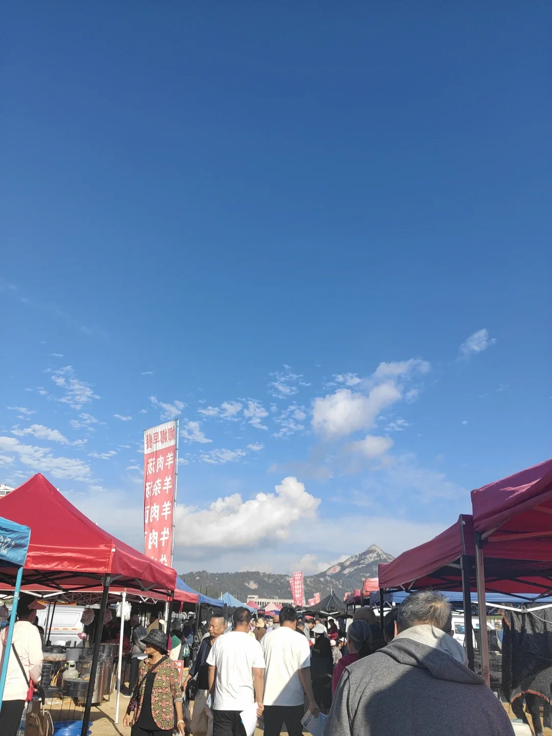 刷到
