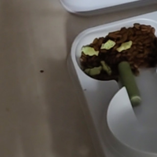 三十元猫条价格与化毛功效分析