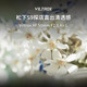 S9直出与家电避坑 | 松下10.11日报