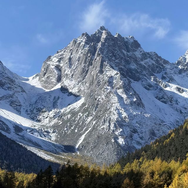 成都出发3小时闯入油画秘境，我拍到了毕棚沟限时雪山彩林